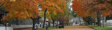 Fall colors in the neighborhood