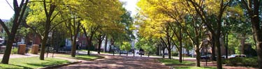 Lincoln Home neighborhood in fall