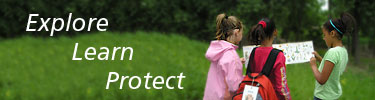 Children looking at a plant identification flyer while standing at an edge between forest and meadow.