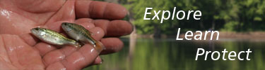 Hands holding two small fish with a river in the background.
