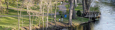 Tall trees grace the river banks at Akin Riverside Park in Anoka, Minnesota.