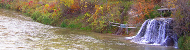 Berry Spring