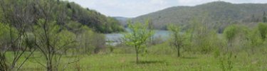 Allegheney River as seen from the North Country National Scenic Trail