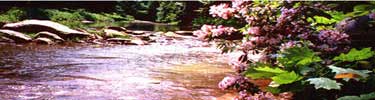 Picture of water and spring colors on Bear Creek in Ohio