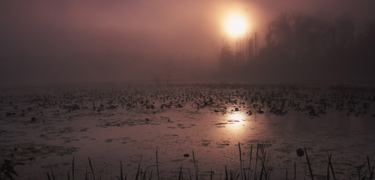 The beaver marsh area in Cuyahoga Valley National Park now exists where a portion of the historic Ohio & Erie Canal once was.