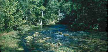Blue Spring