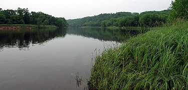 Scene of flat river with green vegetation