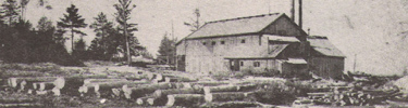 Aral Sawmill