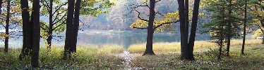 Bass Lake