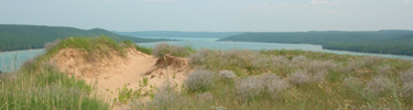Cottonwood Trail - Glen Lake