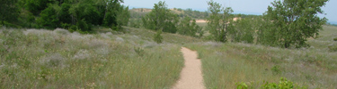 Cottonwood Trail