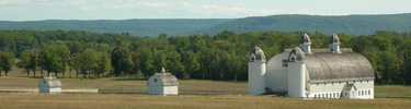 DH Day Farm