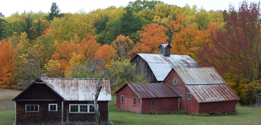 Farmstead in Port Oneida