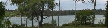 Loon Lake