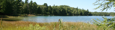Otter Lake