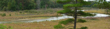 The Platte River