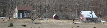 Schmidt Farm