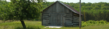 Shalda Cabin