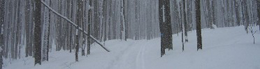 Cross Country Ski Trail