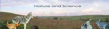 Nature and Science