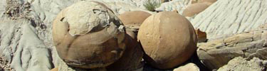 Cannonball Concretions
