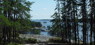 Anderson Bay scenic lakeshore in summer