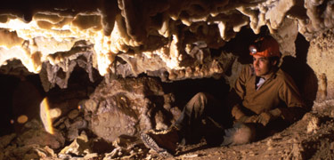 Cave Exploring in the Calcite Jungle