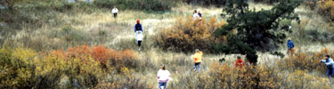 Children playing camoflage in the park