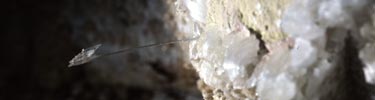 Gypsum Needle
