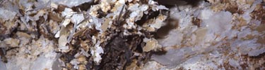 Helictite Covered with Calcite Rafts