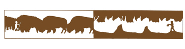 Black Hills Parks & Forests Association