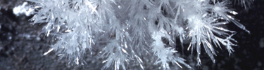 Frostwork