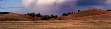 Prairie