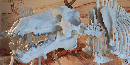 Dinohyus skull in diorama