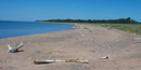 Long Island Beach