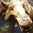 Illustration of an Archaeotherium, a pig-like creature found fossilized in the Badlands