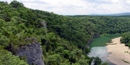 River view with forest wilderness adjacent.