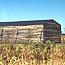 Replica hangar at Huffman Prairie