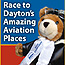 Wilbur Wright teddy bear