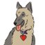 Link to information about bringing pets into Fort Larned NHS.