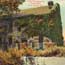 colorful foilage surrounds Commissary
