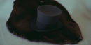A beaver pelt and felt hat at Grand Portage National Monument.