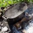Water boiling for canoe building.