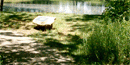 William's Pond