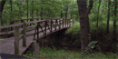 Bridge over the creek on the way to Williams Pond