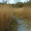 Prairie Trail