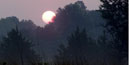 Sunset silhouette