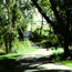 Trail Across Bridge