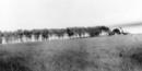View of the Grandview farmhouse. Credit: Truman Library