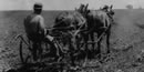 Harry Truman on cultivator at Grandview farm, ca. 1910. Credit: Truman Library.
